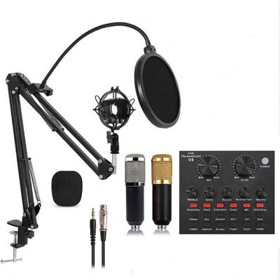 China High Quality USB Microphone Computer Karaoke Speaker with Mic Set Sound Card for sale