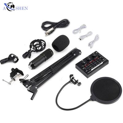 China Condenser Microphone + China Supplier External PC Sound Card Set Usb Microphone Handy Music Studio Equipment for sale