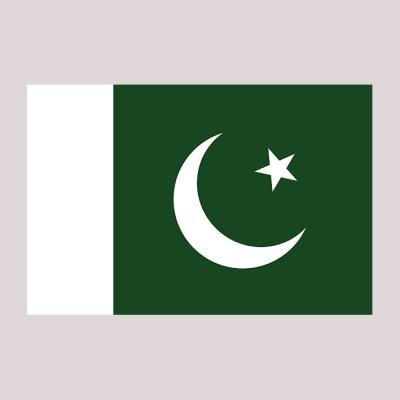 China Health Care Institutes Customized New 100% Polyester Pakistan Flag And Banner 3x5FT for sale