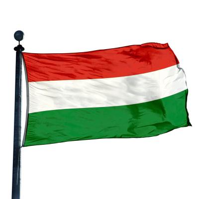 China Hungary Health Care Institutes 3x5ft Flag Outdoor Custom Green White Red 90x150cm Polyester Flag for sale