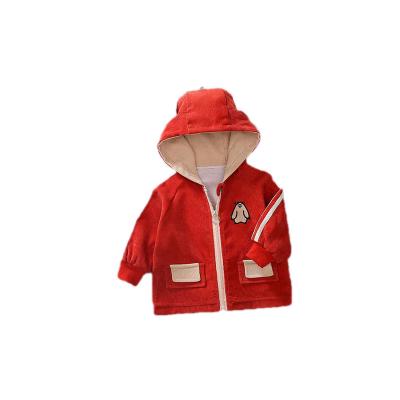 China OEM popular boys and girls casual autumn apply hoodie jacket without gender zipper jacket for sale