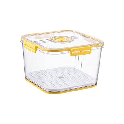 China 2021 Steamable Popular Creative Timing Sealed Fresh-keep Transparent Plastic Box Refrigerator Storage Box For Vegetable Fruit for sale