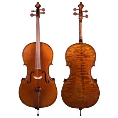 China Application Famous Brand CHRISTINA Cello EUC6000 Major Performance Grades Case String Free Bow for sale