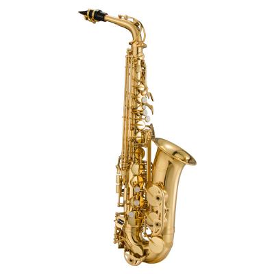 China Jinbao E Alto Saxophone Beginner Adult Children Gold Lacquer Flat Brass Wind Instrument JBAS-601 for sale