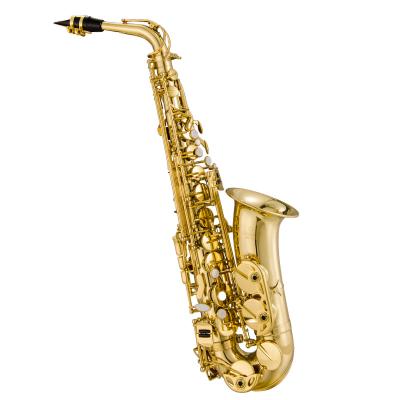 China Gold lacquer Jinbao alto saxophonefor beginners to learn to play a musical instrument JBAS-200 for sale