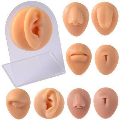 China 2022 Newest Soft Silicone Human Body Part Simulation Model With Display Stand Use For Tattoo Puncture Practice Jewelry Display for sale