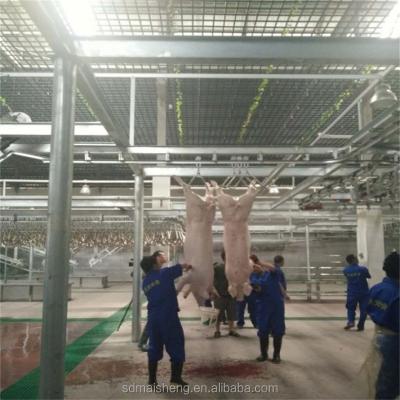 China Pig Sow Slaughterhouse Machine for Butcher Mother Pig Meat Slaughterhouse for sale