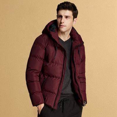 China Sustainable Pinghu FASHION OEM Chinese Factory Custom Wholesale Winter Warm Slim Casual Polyester Waterproof Hoodie Padded Jacket For Men for sale