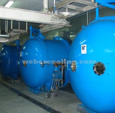 China Medicine Processing Shallot / Vegetables Vacuum Freeze Dryer With CE for sale