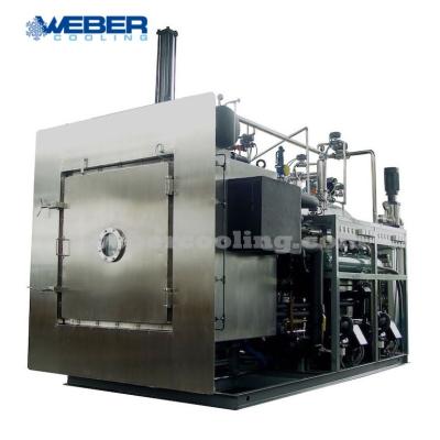 China Medicine Processing Fast Food Vacuum Freeze Dryer With CE for sale