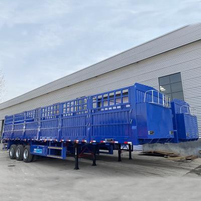 China Semi Truck Trailer Sudan Design 3 Axle 45ft Container Truck Trailer Side Wall Trailer for sale