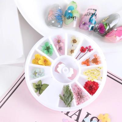 China Real Preserved Flowers Nail Tips 1 Wheel 3d Colorful Dry Flowers Nail Art Decorations Accessories Mixed Dry Flower Real For Nail Art for sale