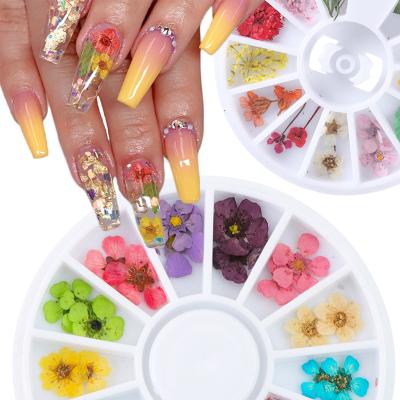 China UV Gel Manicure 1 Box 3D Polish Dried Mixed Dry Nail Art Designs Flower 3D Flower Nail Decoration Natural Floral Sticker for sale