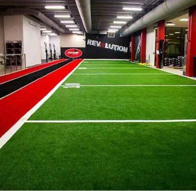 China 100% new PE materials High durable fiber yarn Artificial grass GYM flooring for fitness studio for sale