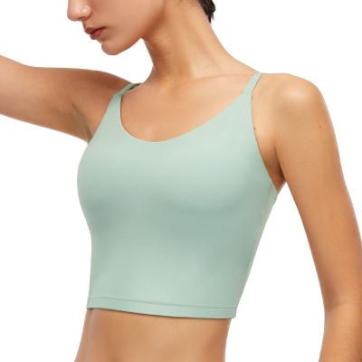 China Activia Bel Women Sexy Bra Workout Anti-UV Back Running Apparel for sale