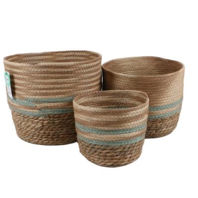 China Clothing Factory Wholesale Price Plastic Collaspable Laundry Hand - Woven Storage Baskets For Kids for sale