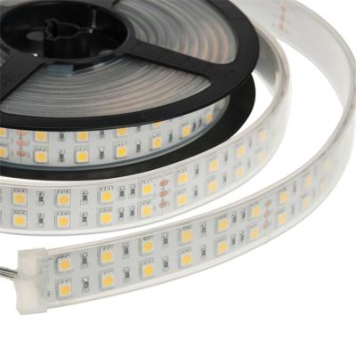 China Residential smd 24v 5050 dual array FPC flexible led strip 600leds for sale