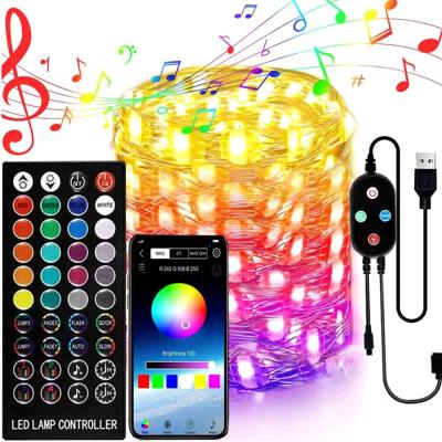 China Theme Park 5M 10 MTS 10m 100LED Color Changing USB RGB Copper Mini Christmas LED Smart Remote Control String Lights for sale