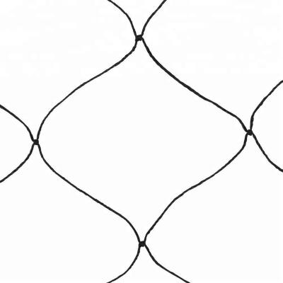 China Tear-resistant Nylon Trellis Netting Material Agriculture Anti Bird Netting For Orchard Vineyard for sale