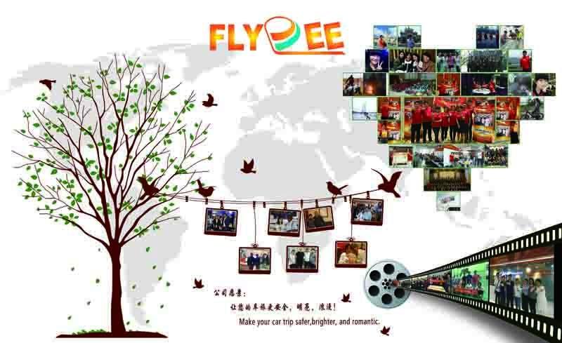 Verified China supplier - Guangzhou Flydee Electronic Technology Co., Ltd.