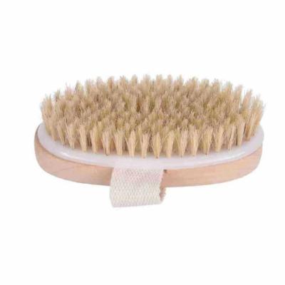 China All Natural High Quality Professional Amphibious Wood 2021 Bath Body Wash Back Back Spa Dry Brush for sale