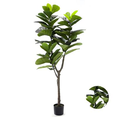 China Wholesale Design Plastic Artificial Succulent Lyrata Fiddle Plants Trees Houseplants Greenery Fiddle Garden Plant New for sale