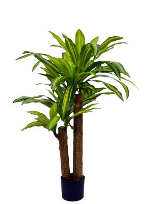 China Contact Eco-friendly Real Green Dracaena Tree Garden Supplier Factory Good Quality Artificial Dracaena Tree Wholesale for sale