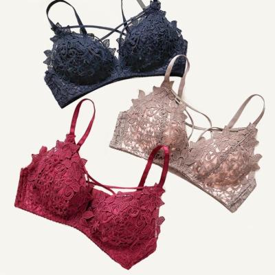 China 2021 hot sexy women wholesale cheap lace factory water bra and panty sets bra and brief set for sale