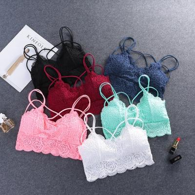 China Women's Bralette Lace Free Size Bra Removable Cheeky Plus Size Antibacterial Floral Free Encaje Conjuntos for sale