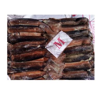 China NATURE New Type W/r Illex Squid Bargain Price Customizable Seafood for sale