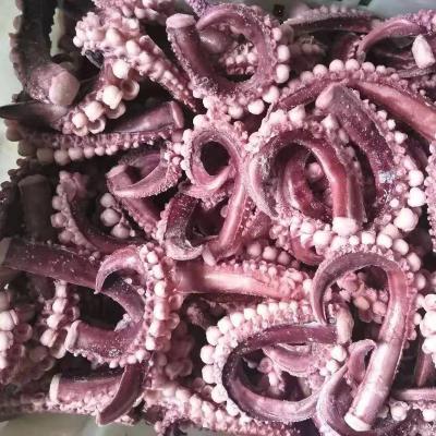 China High quality NATURE squid tentacles/frozen giant squid tentacles long for sale