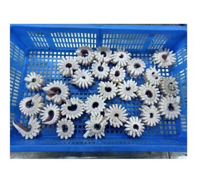 China Discount NATURE natural and healthy seafood import squid flower fresh frozen speed for sale