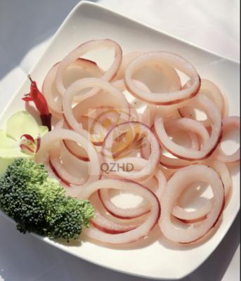 China NATURE Frozen Squid Ring Indian Ocean Squid Ring Price Good for sale