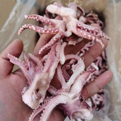 China High quality NATURE seafood IQF frozen squid head/squid head with tentacle for sale for sale