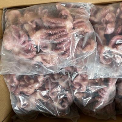 China NATURE Frozen Small Indian Squid Main Tentacles Cut Wholesale for sale