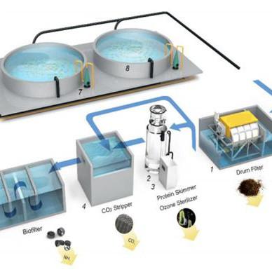 China 1000L-50000L Capacity Low Noise Rotary Drum Filter for RAS System Fish Farming Equipment for sale