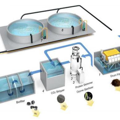 China Roterende trommelfilter voor aquacultuur Visserij Membraanscheiding Biologische behandeling Te koop