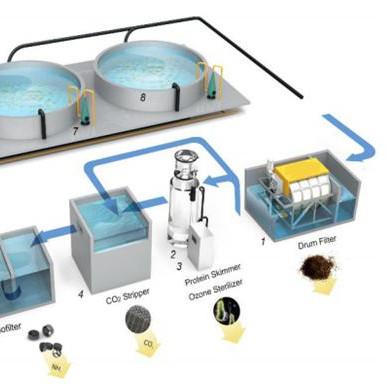 China Pure Water Treatment System RAS Rotary Drum Filter for Aquaculture in Fish Farm Ponds for sale