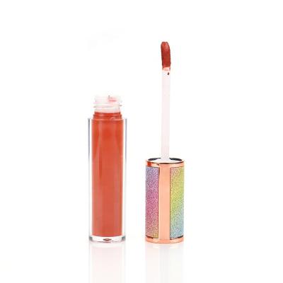 China Waterproof Make Up Vegan Shiny No Logo Vegan Lipstick Make Your Own Lip Gloss Cosmetic Liquid Foundation for sale