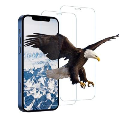 China Factory Price 2.5D Hardness 9H Screen Protector Anti-scratch Full Screen Premium Tempered Glass For iPhone 13 pro Max 12 XsMax for sale