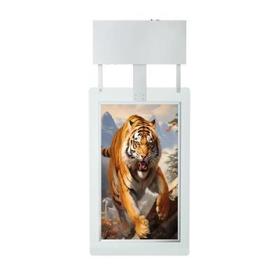 China Hanging Monitor Digital Signage 55 Inch Window Display Signage for sale