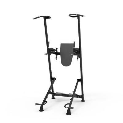 China Universal Home Gym Exercise Equipment Pull Up Bar Fitness Dip Station Home Power Tower DY-3019 for sale