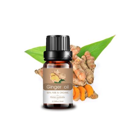 China Other Ginger Essential Oils Organic Aroma Perfume Bulk Wholesale Natural Pure Fragrance Essential Oil for sale