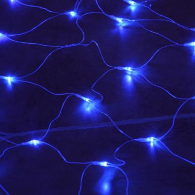 China Warm White Blue Programmable Net Christmas RGB LED String Lights for sale