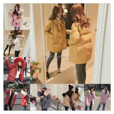 China Women's Clothing Factory Wholesale Women's Breathable Coat for sale