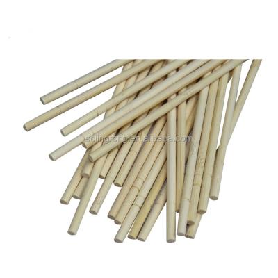 China Thermal Resistance 2.5mm-5mm Disposable Eco-friendly Bamboo Safe Barbecue Skewers For Kids for sale