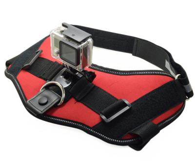 China Nylon Pet Harness Chest Strap Belt Wearable Camera Mount with Screw for sale