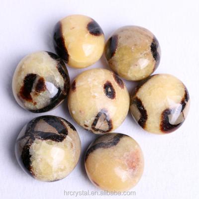 China China Wholesale Natural Decoration Crystal Tumbled Stone Smooth Septarian Crystal Palm Stone For Healing for sale