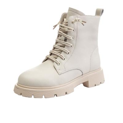 China Anti-slip Spring Summer Boots Ladies Women Shoes Platform Beige Ankle Boots Short Chunky Punk Ankle Boots for sale