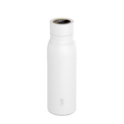 China 2021 Newest Business Pengwing Design Insulated Double Wall Vacuum Flask Smart Water Bottle High Quality Temperature Display for sale